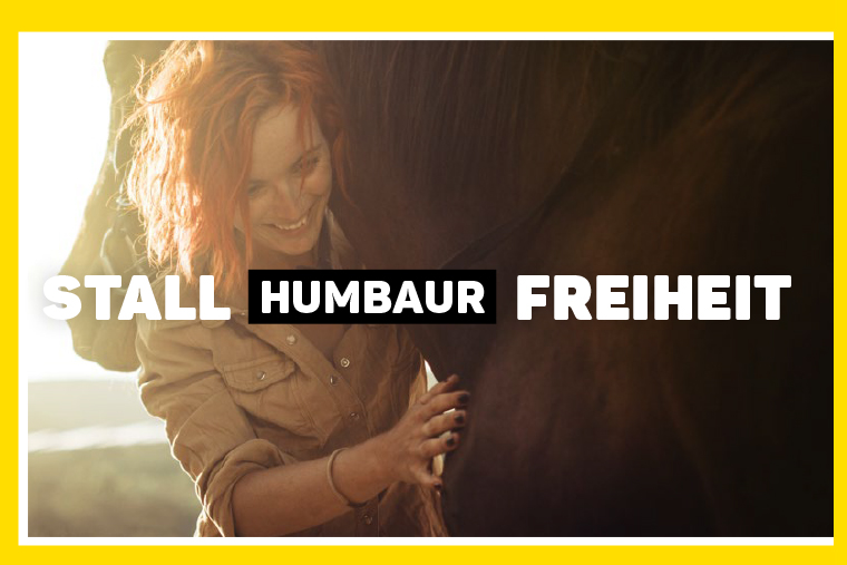 Pferdeanhänger