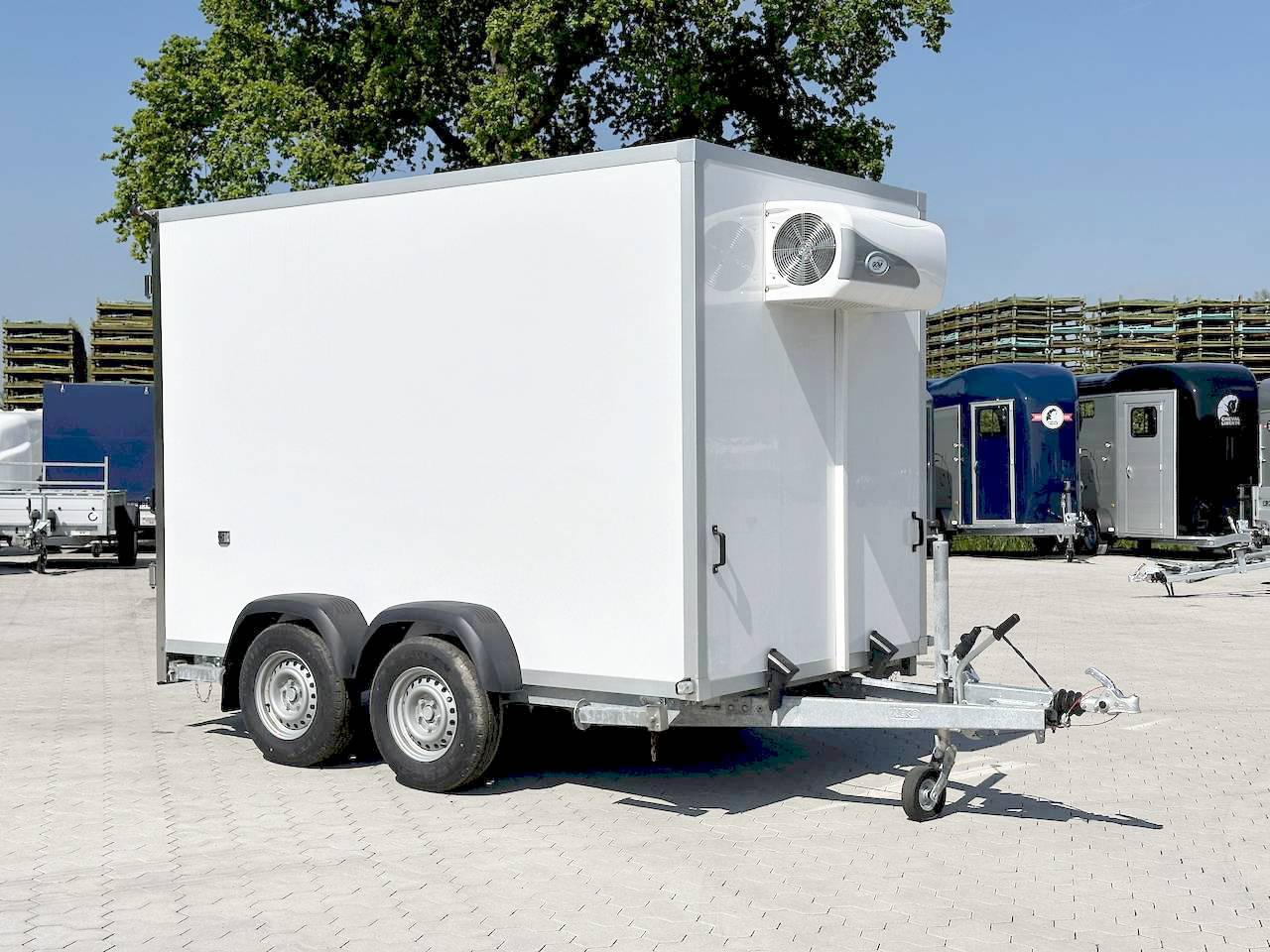 BAUMANN ER 3.0 FREEZE